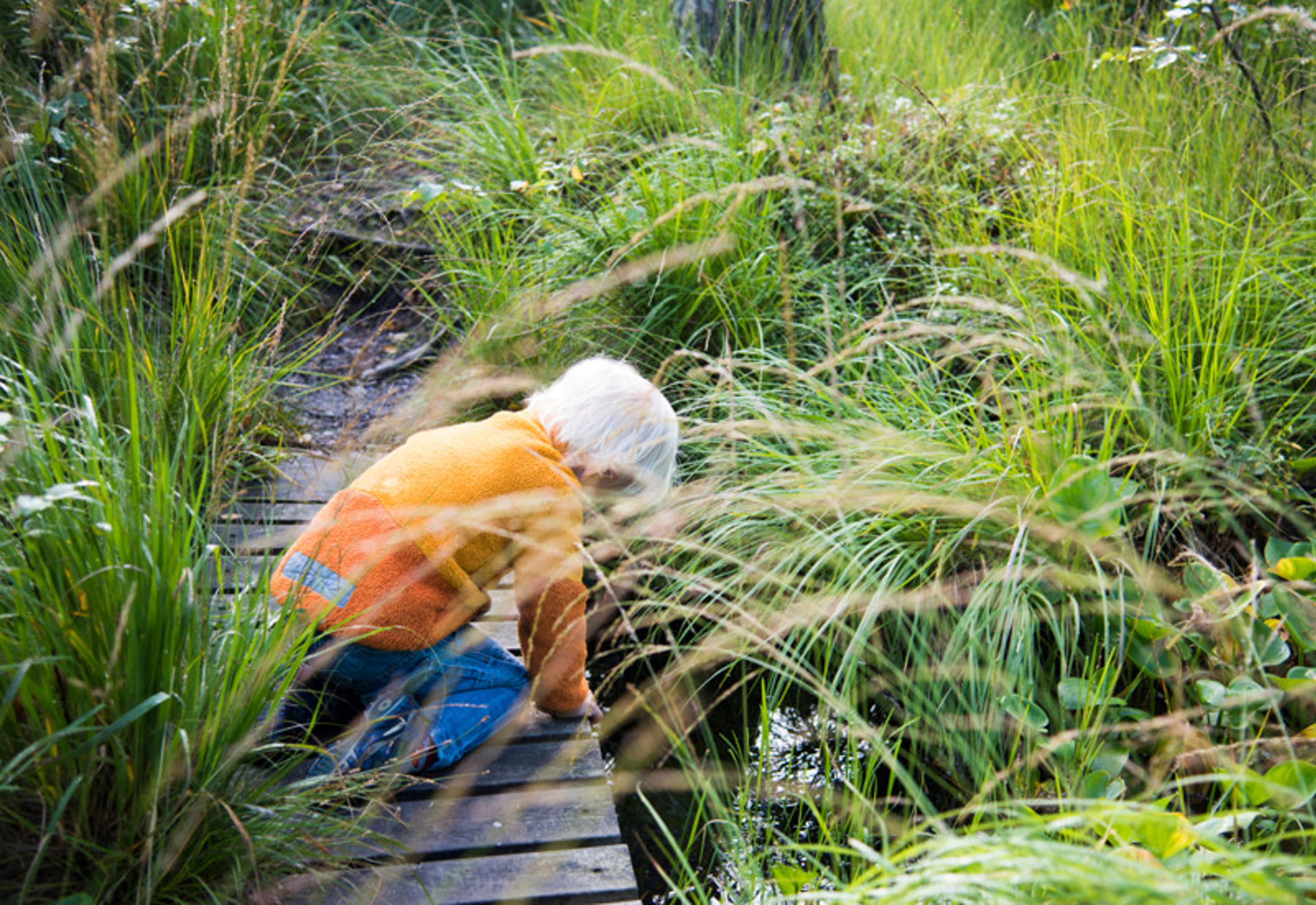 Barn vid en grönskande å i skogen – symbol för varför det är viktigt att sortera rätt och skydda naturen.